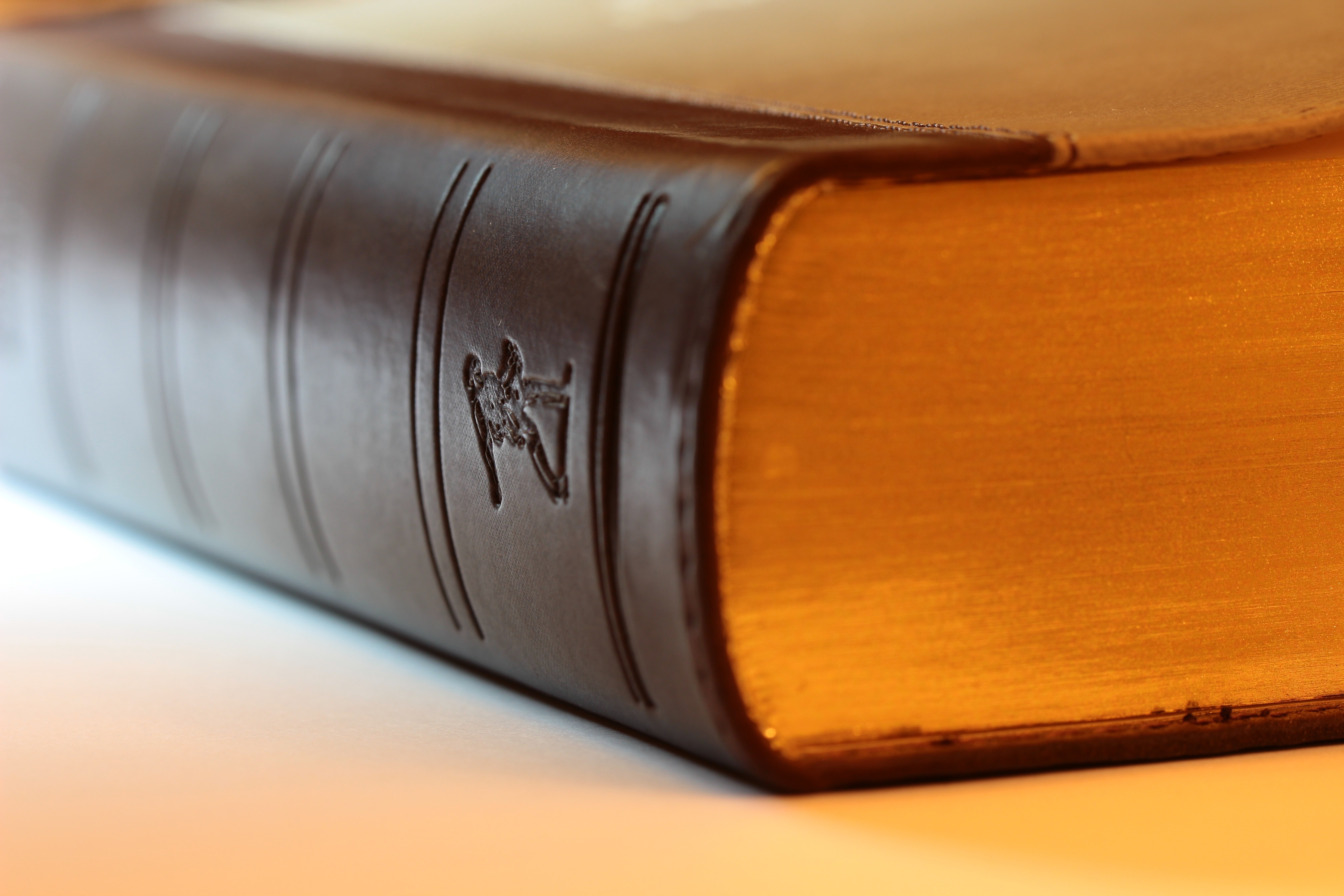 Accused of detaining a property? We can help get you extra time while we work on your case.